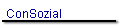 ConSozial